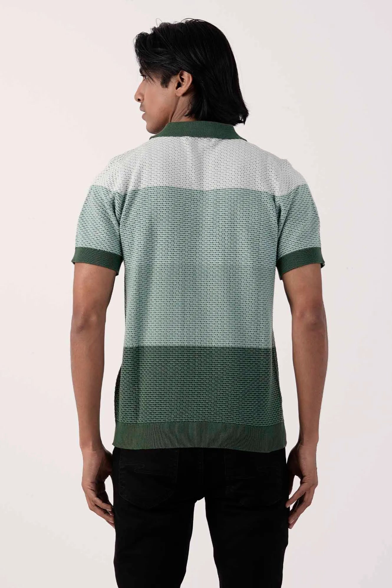 Men Polo Shirt (Multi 1)
